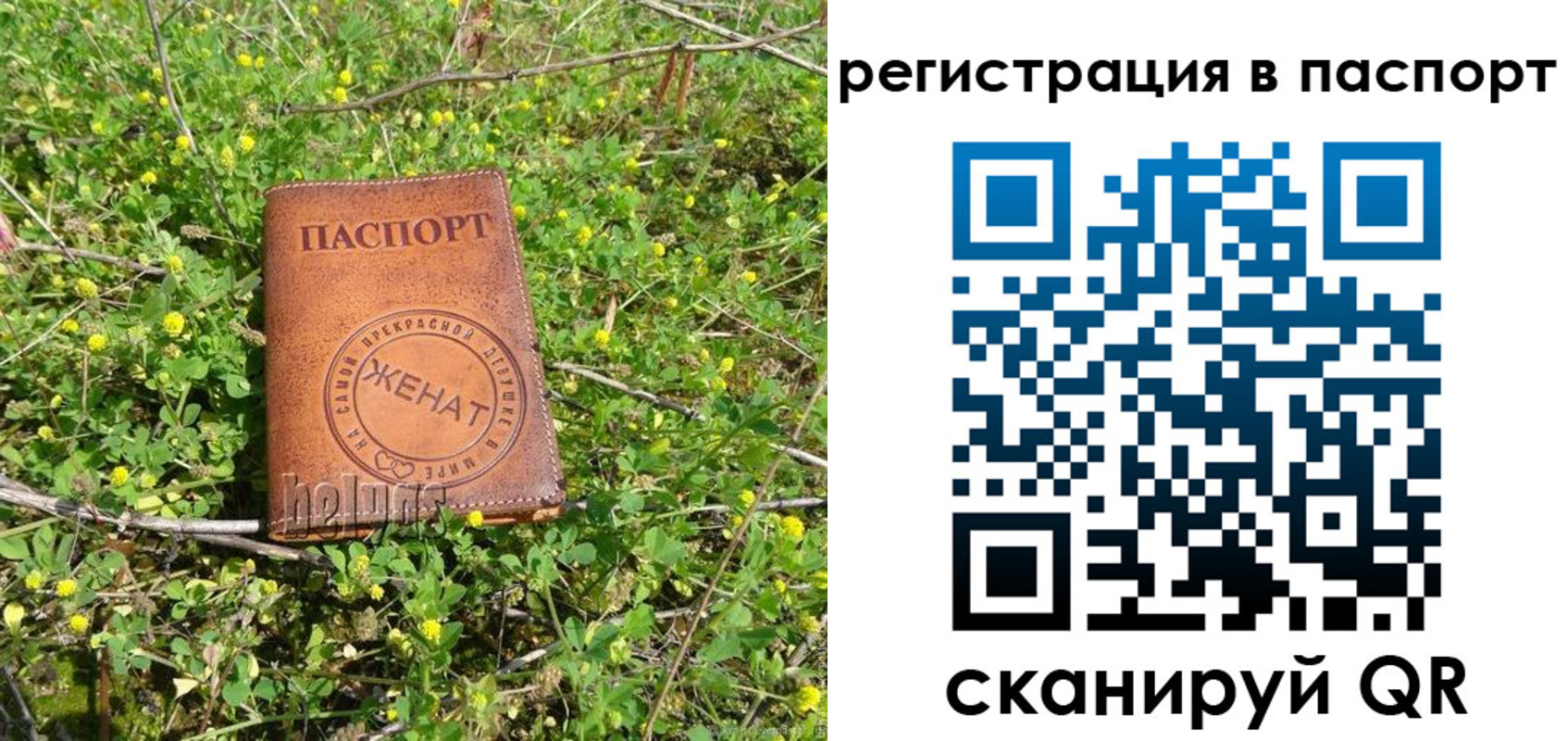 прописка законно в Темрюке